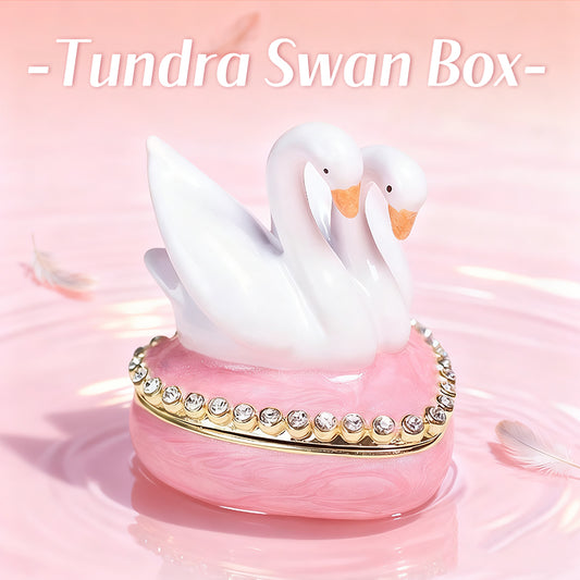Swan Box Cute Style Natural Style Enamel INS-Style Jewelry Box